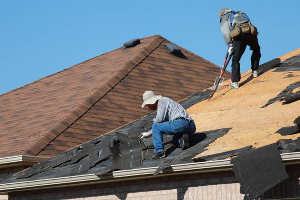 Best Metal Roofing Installation  in Monument Beach, MA